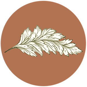 A detailed illustration of a white leafy branch is centered on a brown circular background.