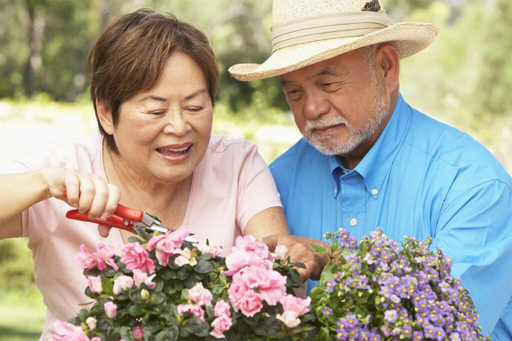 Senior Asian Couple Pruning Flowers